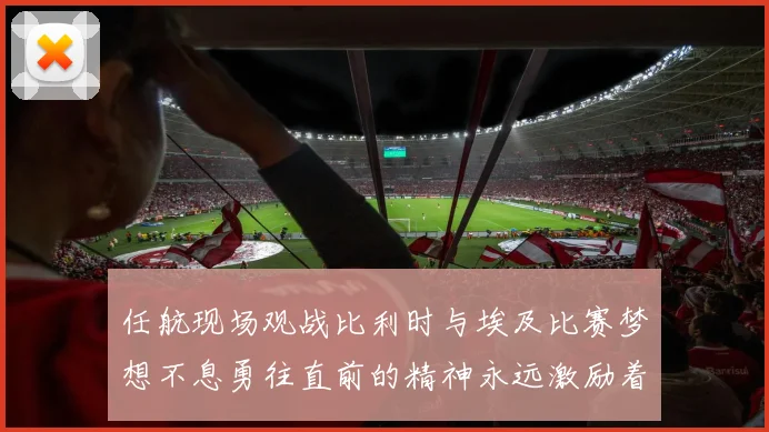 任航现场观战比利时与埃及比赛梦想不息勇往直前的精神永远激励着我们